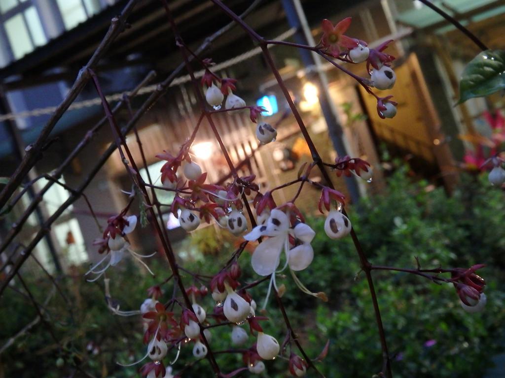 Tainan Guest House Hamuya ภายนอก รูปภาพ